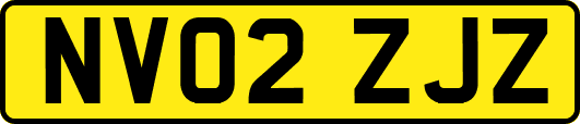 NV02ZJZ