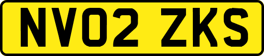 NV02ZKS