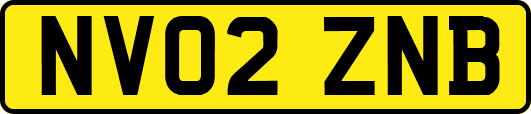 NV02ZNB