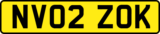 NV02ZOK