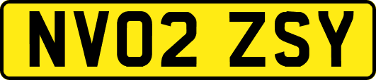 NV02ZSY