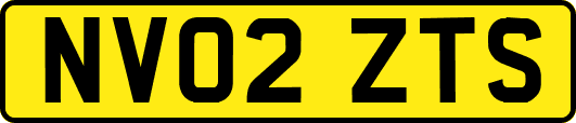 NV02ZTS