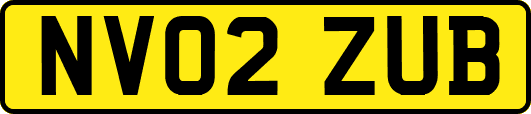 NV02ZUB
