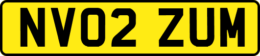 NV02ZUM