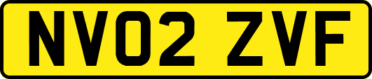 NV02ZVF