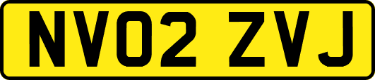 NV02ZVJ