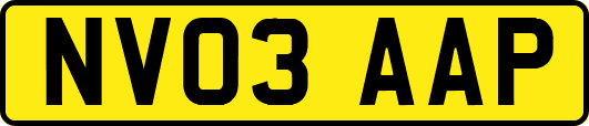 NV03AAP