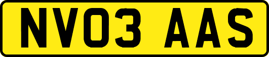 NV03AAS