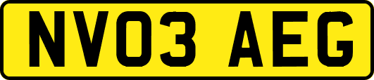 NV03AEG