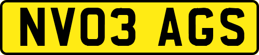 NV03AGS