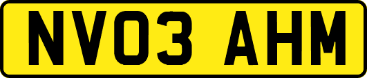 NV03AHM