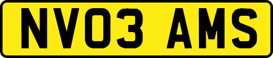 NV03AMS