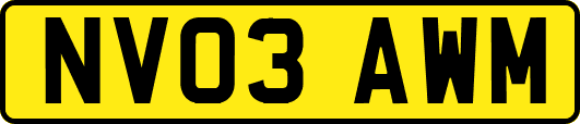 NV03AWM