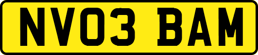 NV03BAM