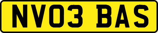 NV03BAS