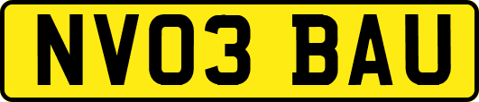 NV03BAU