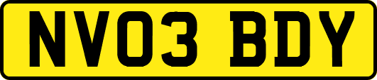 NV03BDY