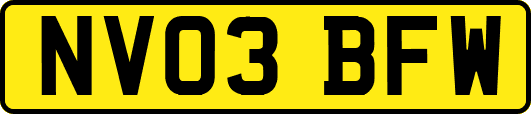 NV03BFW