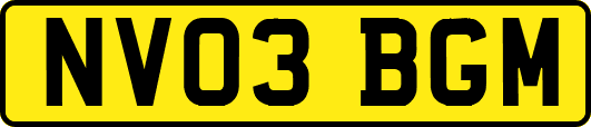 NV03BGM