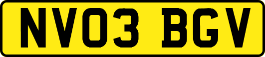 NV03BGV
