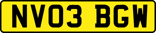 NV03BGW