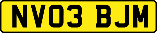 NV03BJM