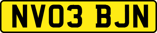 NV03BJN
