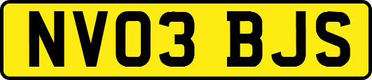 NV03BJS