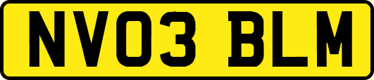 NV03BLM