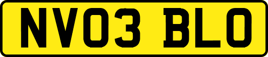 NV03BLO