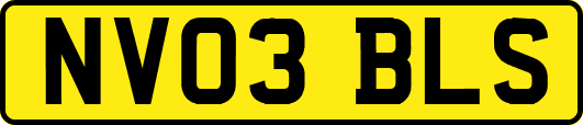 NV03BLS