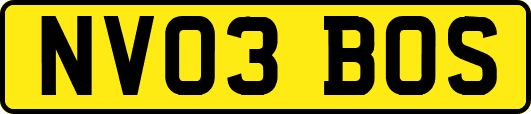 NV03BOS