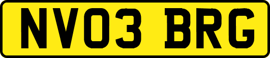 NV03BRG
