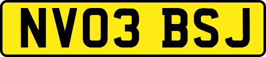 NV03BSJ