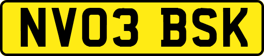 NV03BSK