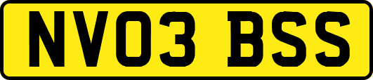NV03BSS