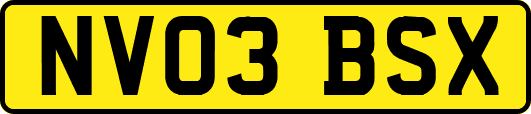 NV03BSX