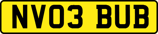 NV03BUB