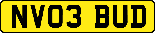 NV03BUD