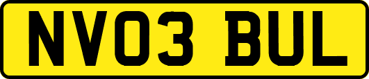 NV03BUL