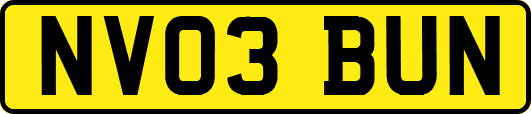 NV03BUN