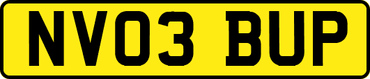 NV03BUP