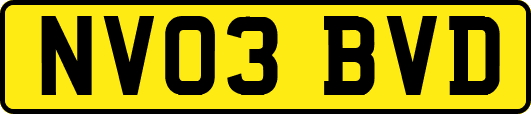 NV03BVD