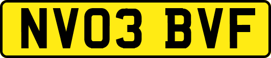 NV03BVF