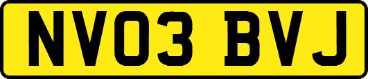 NV03BVJ