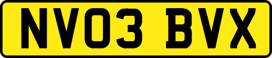 NV03BVX