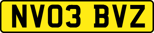 NV03BVZ