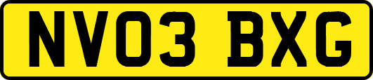 NV03BXG