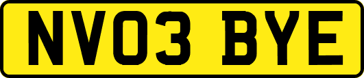 NV03BYE