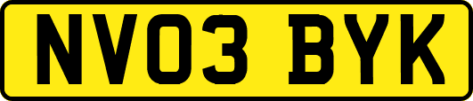 NV03BYK
